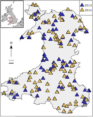 Primer and Database Choice Affect Fungal Functional but Not Biological Diversity Findings in a National Soil Survey